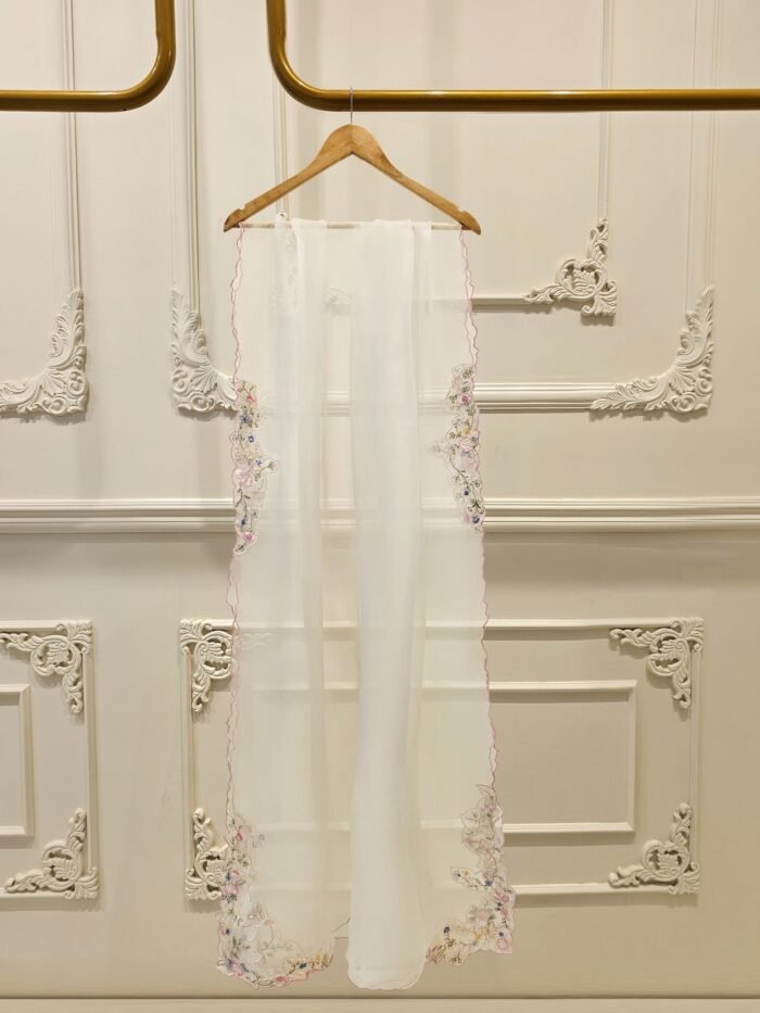 Aghanoor Inspired luxury party wear - Image 7