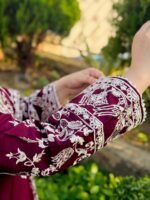 Premium Ready-to-Wear 3 Piece Embroidered Set - Image 3